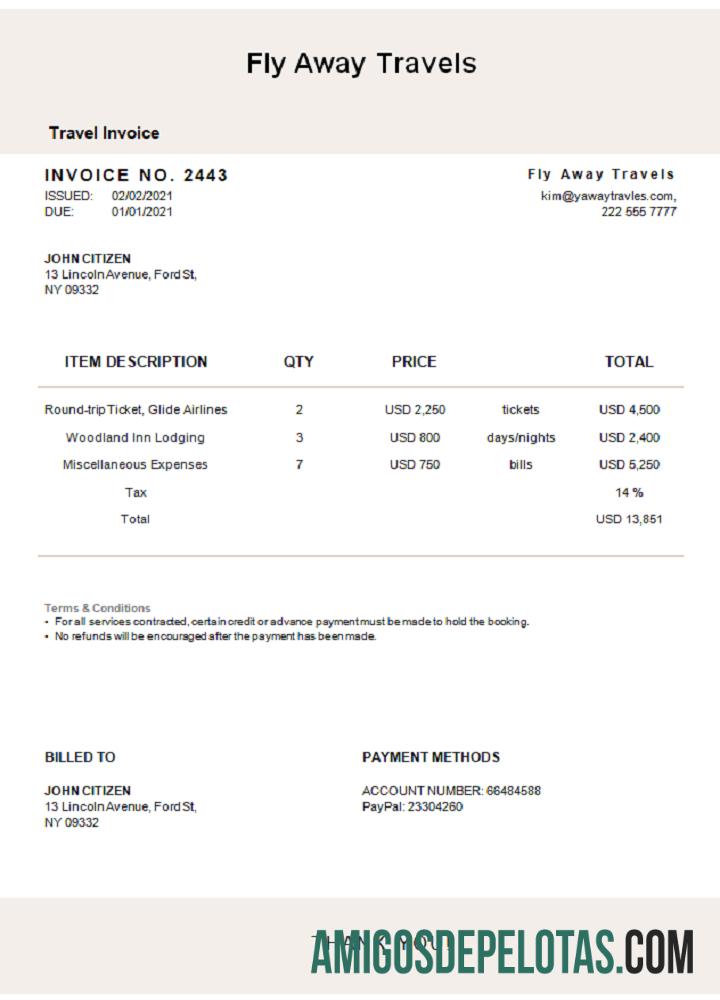 Fatura de viagens Fly Away nos EUA exemplo real